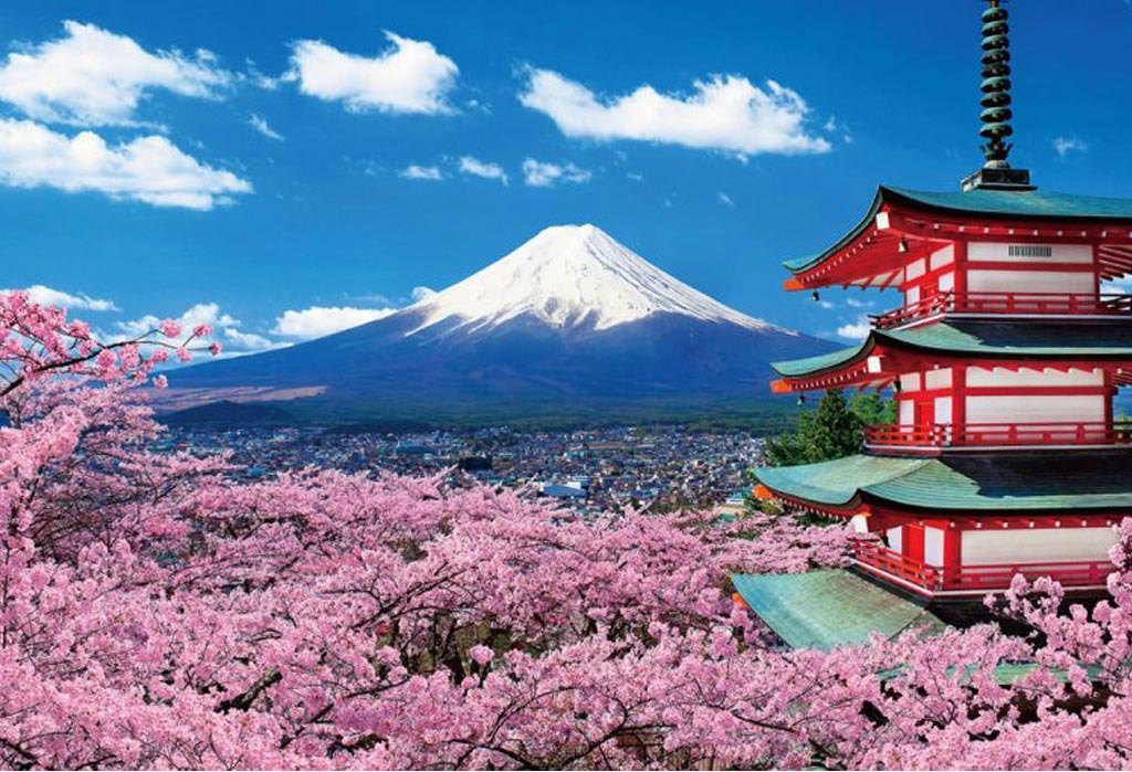 日本樱花季东京富士山京都奈良大阪双古都半自助双飞7