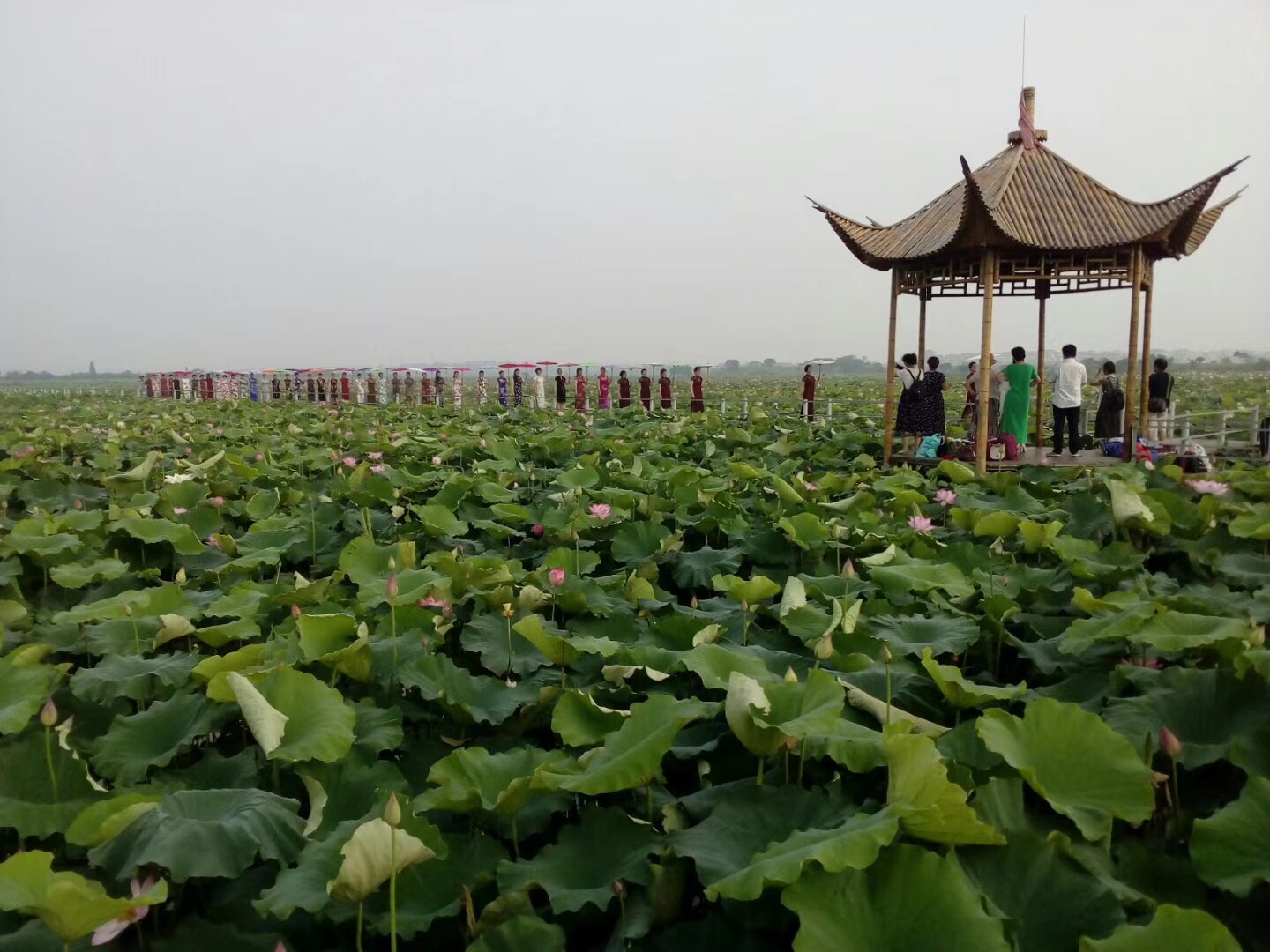 南昌周边游,漂流,采摘,江西旅游,国内游,红土地旅游,热门旅游-进贤赏