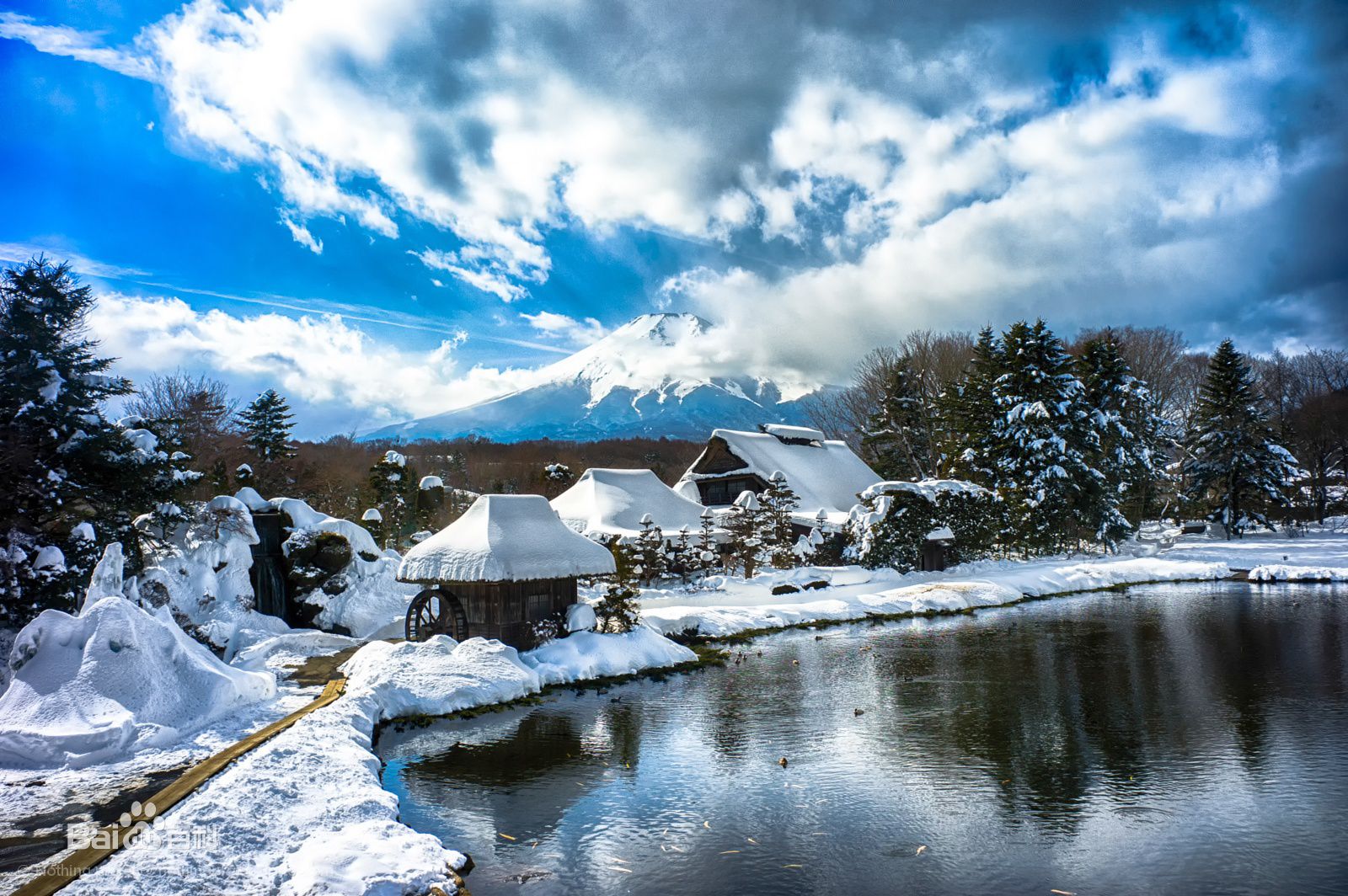 【雪之国,北海道】本州全景 北海道七天八晚雪之旅