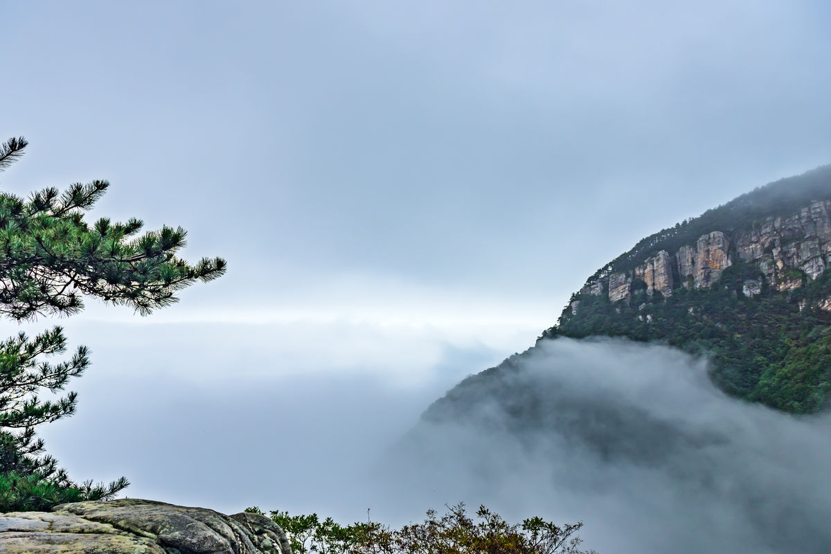 早餐后游览形如提琴的--如琴湖,唐代诗人白居易咏诗《大林寺桃花》中人间四月芳菲尽,山寺桃花始盛开的地方--花径、白居易草堂,相传天降金龙化作虹桥助朱元璋兵马脱险的--天桥,晋代东方名僧慧远采撷花卉、草药处,四季如春、犹如锦绣的--锦绣谷,观妙亭、谈判台,自然风化天生石洞,洞顶为参差如手指的岩石覆盖,形似佛手,又名佛手岩的--仙人洞、险峰,明朝皇帝朱元璋所建刻着朱皇帝亲自撰写的《周颠仙人传》和《四仙诗》--御碑亭(全程游览时间约2小时)。后乘车赴中国瓷都景德镇,逛AAA级景区富玉陶瓷创意园(游览约
