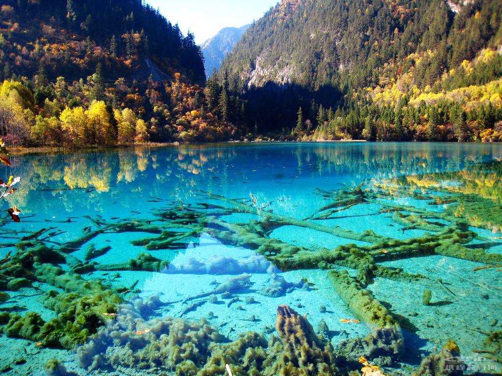 2017(夏)-a2【金蜀订制】成都/熊猫乐园/九寨沟/黄龙/峨眉山/乐山2飞8