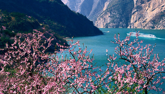蜂行4月【张峡 真纯玩】张家界三峡双飞10日