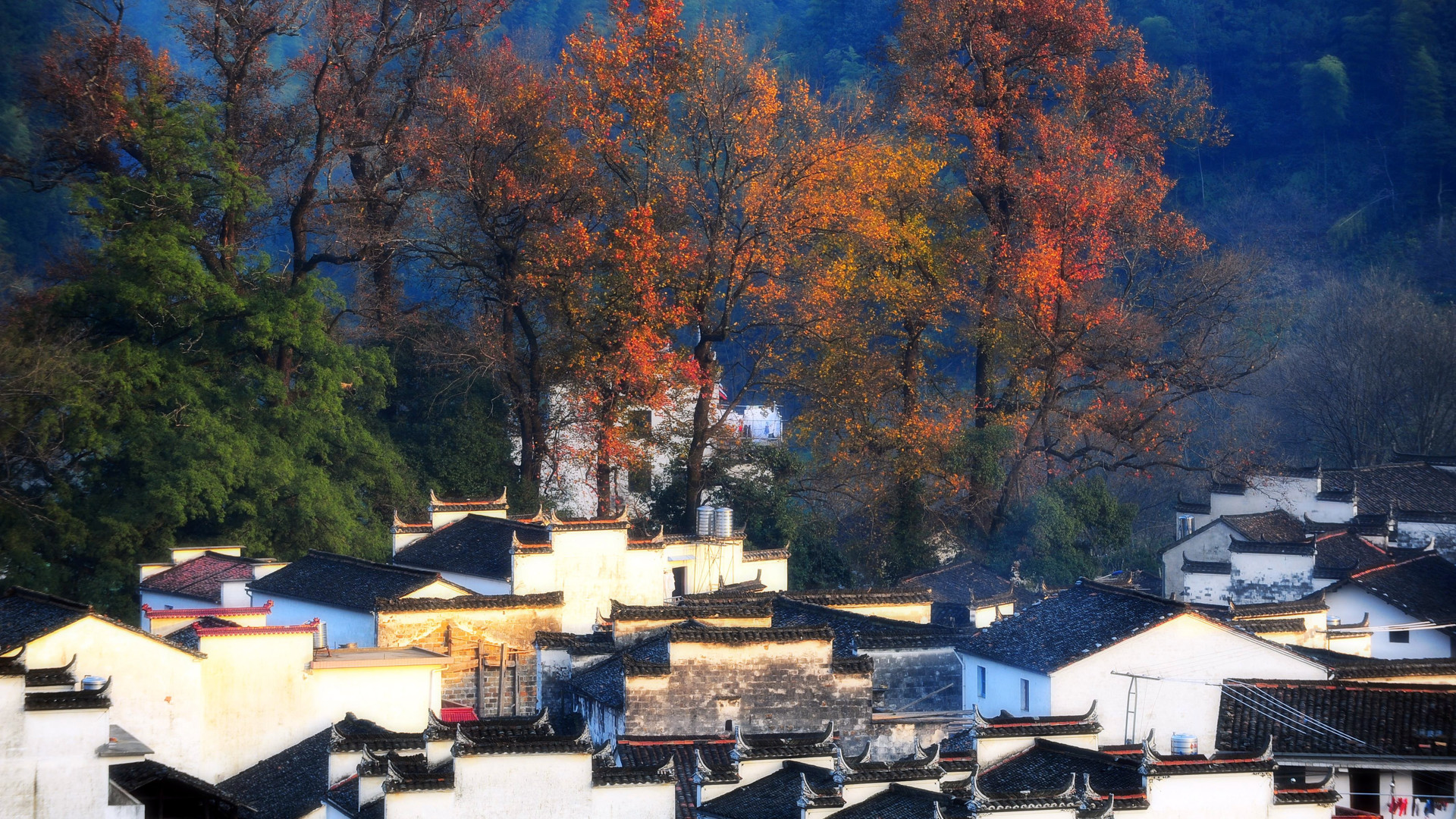 江西 婺源 三清山双飞5日游_国内跟团游_贵州省兴义市南悦国际旅行社