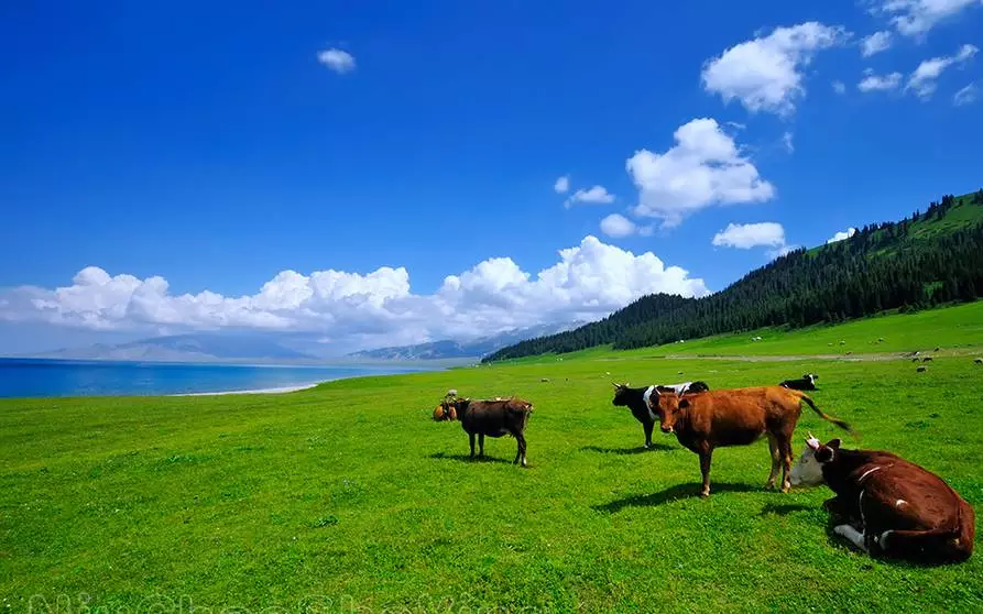 龙岭山庄旧改图片