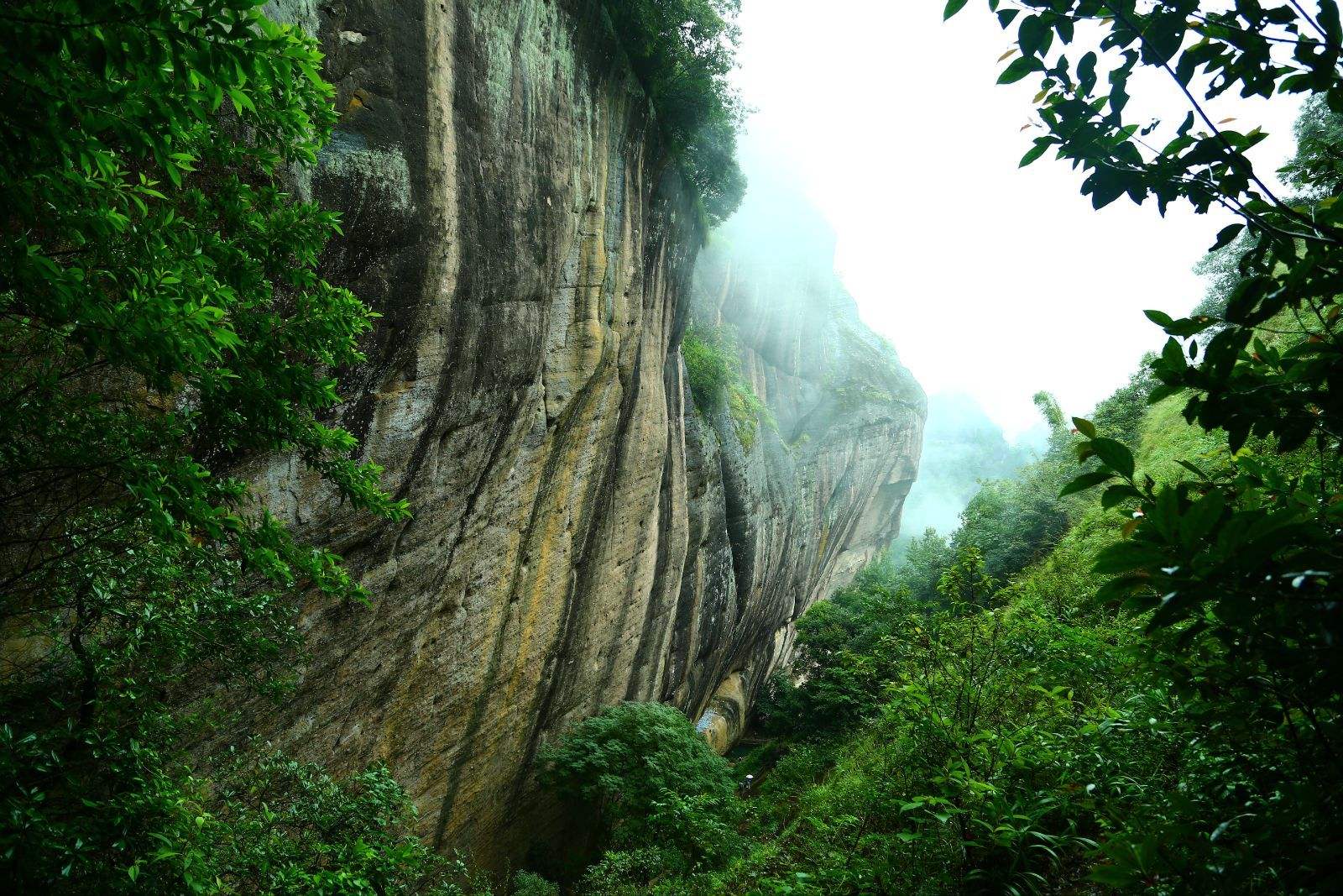 景区(约120分钟): 天成禅院,定命桥,语儿泉,宾曦洞,观景台等虎啸八景