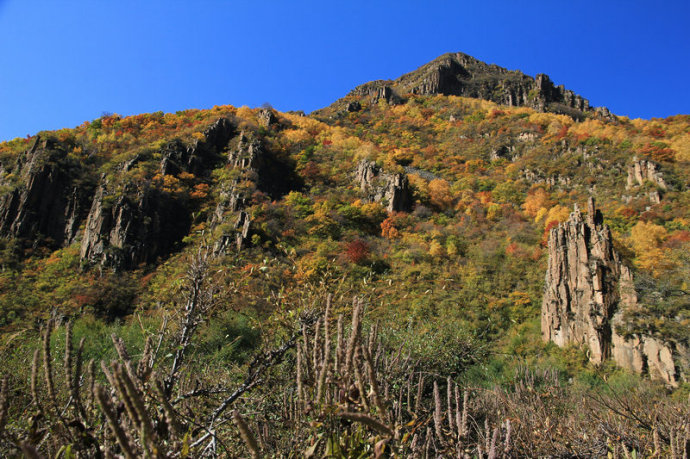 黑龙山景区